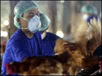 Пташиний грип