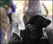 The finished charcoal product