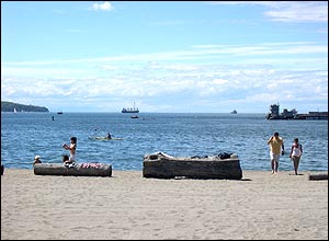 عکس از محمد علی فاخری