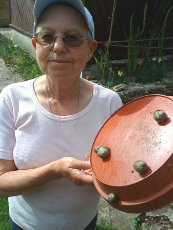 The Great Snail Swap