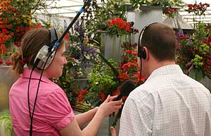 Small garden designed by Radio Yorkshire in 2002