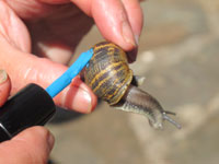 Ruth Brooks and her grandson.