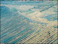 Aerial view of the Hampto