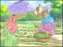 عاطفه و گل مکی