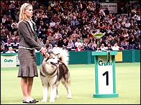 Friday: Working Group winner 