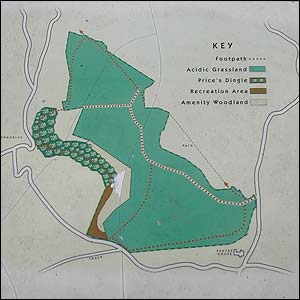 Plan of Ifton Meadows