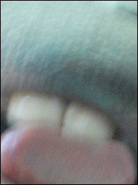 Foto tirada pela orangotango Nonja postada no Facebook (cortesia Zoo de Viena)