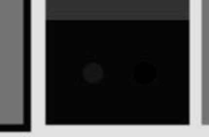 Black spots - Brightness correct.jpg