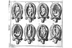 The anatomy of the human gravid uterus by William Hunter, 1774, picture courtesy of Wellcome Library, London