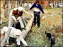 امرتسر میں دھماکے کے بعد پولیس تفتیش کر رہی ہے 