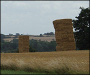 Straw bales