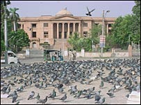 कराची के चौक पर कबूतर