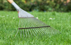 Lawn rake