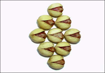 فندوغي پسته 