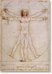 Vitruvian Man