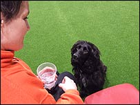 Rolie, owned by Connor Rodgers