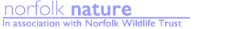 Title - norfolk nature