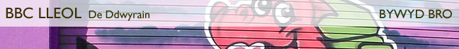 Bywyd Bro