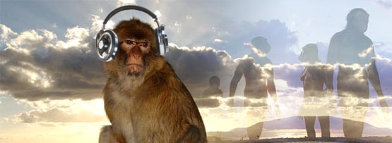 Ape and primitive man