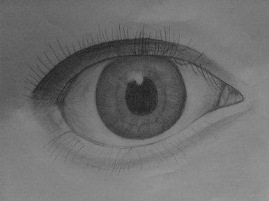 Eye