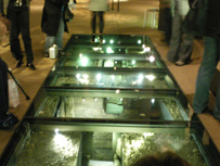 An under-foot museum display