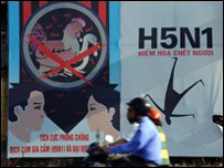 Попередній штам грипу вражав птахів