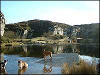 The old quarry