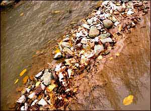 عکس از مهران حسن لاريجانی