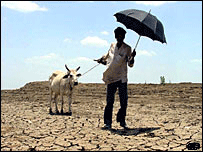 خشک سالی ( فائل فوٹو)