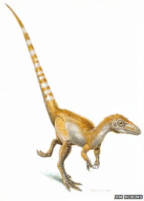 Sinosauropteryx by Jim Robins