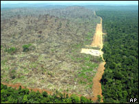 Deforestation of the Amazon rain forest in Brazil