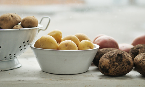 Different varieties of potatoes