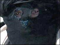 مشتبہ طالبان(فائل فوٹو)