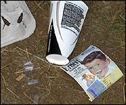 The Ernest flyer bites the dust