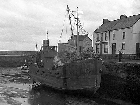 The Celt puffer. Photo courtesy of Calum Pearson