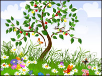 ميوه های ناشسته