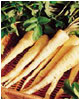 parsnips