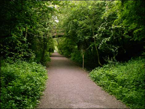 The old Wynyard railway line