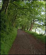 The coast path near Noss Mayo