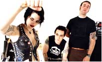 The Distillers