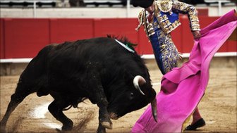 bullfighting.jpg