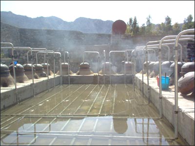 له ګلاب نه دتېلو ويستلو فابريکه