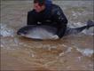 Foto: British Divers Marine Life Rescue