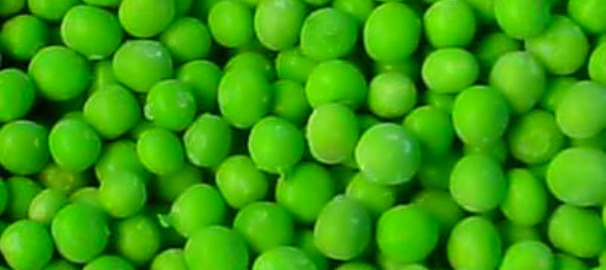 peas2.jpg