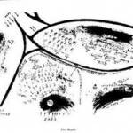 Our Battle Area Our Battle Area