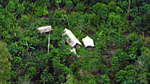 Aerial shot of the uncontacted group's huts
