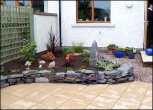 transformed garden