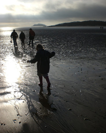 A family walk along a brightly lit beach, all you can see is their silhouettes