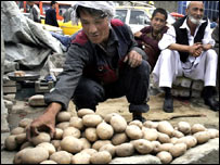 یک مارکیت فروش کچالو (سیب زمینی) در کابل