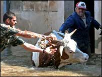 Enchente no rio Danúbio